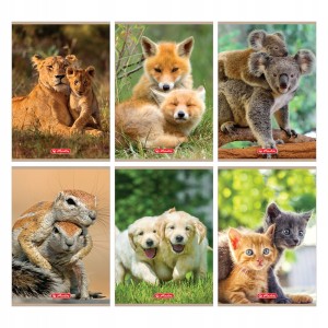 Zeszyt A5 kratka 32 kartki HERLITZ Animals okładka miękka 9583063