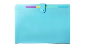 Teczka harmonijkowa 5 przegródek A4 BIURFOL tworzywo sztuczne kol. niebieski pastelowy THP-04-02
