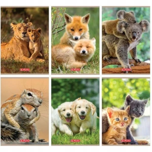 Zeszyt A5/32 linia podwójna ANIMALS HERLITZ 9583071 op. 5 szt.